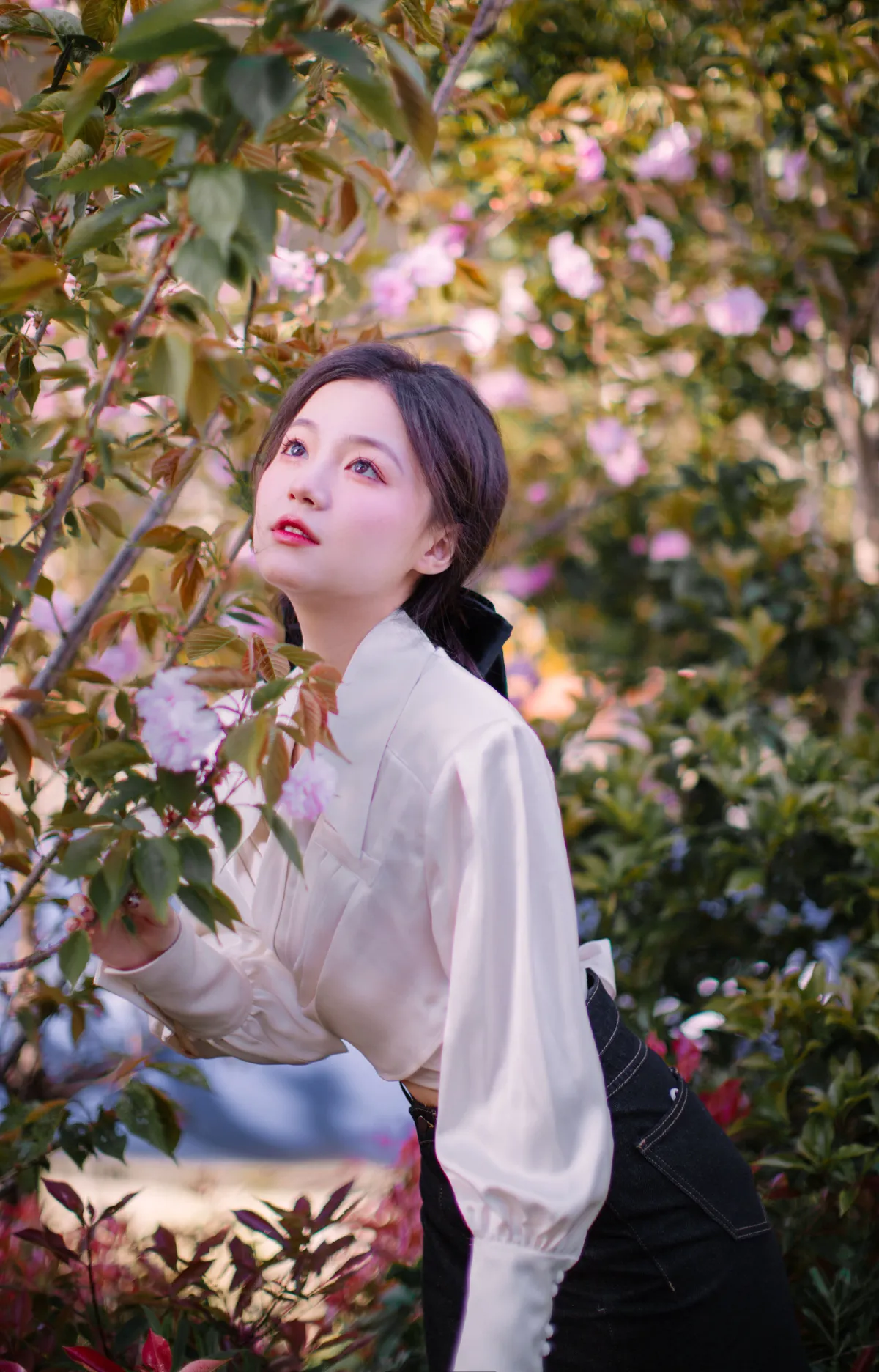 花宴1