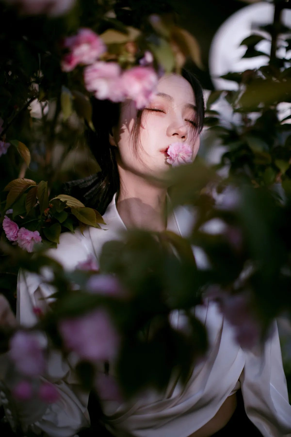 花宴