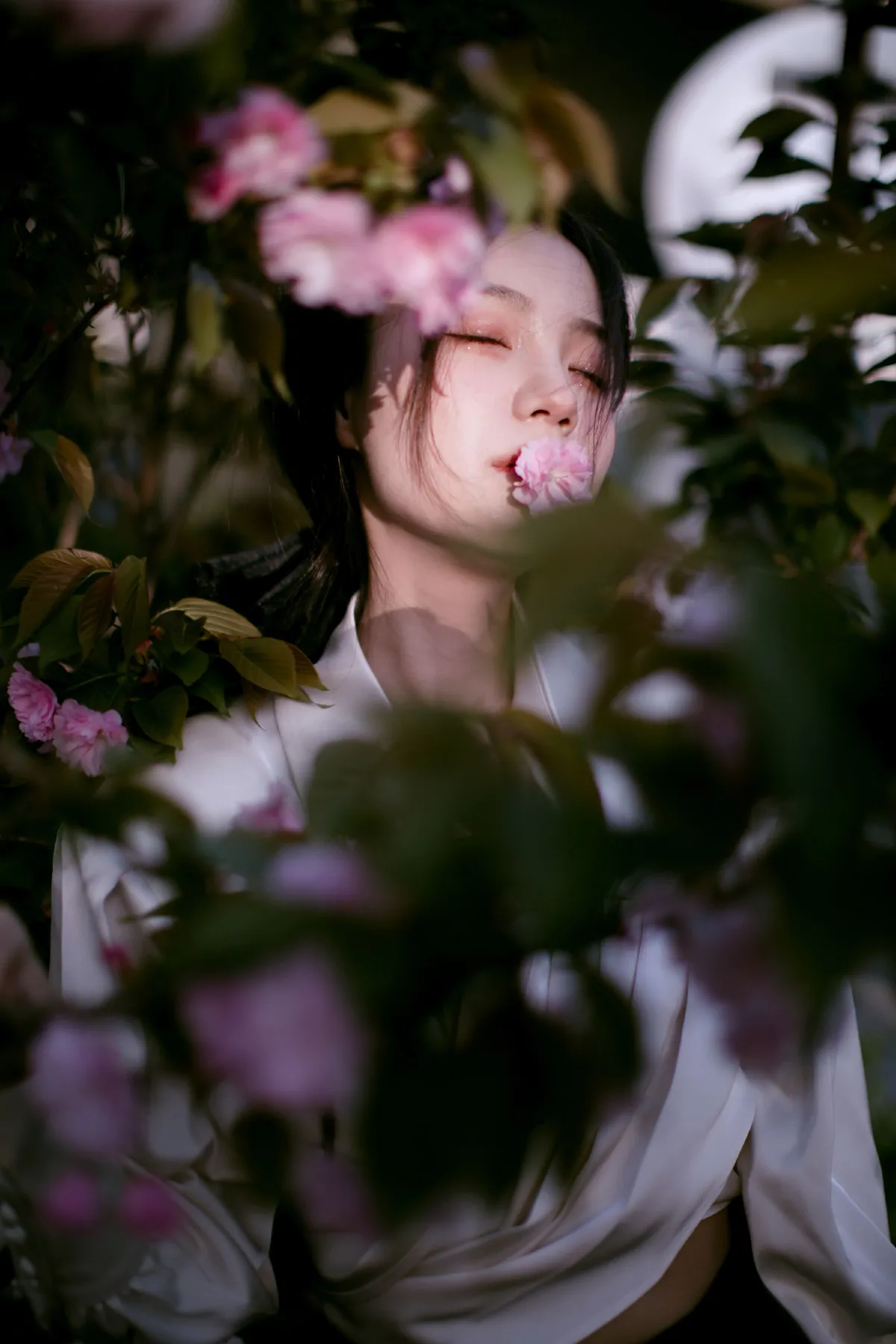 花宴3