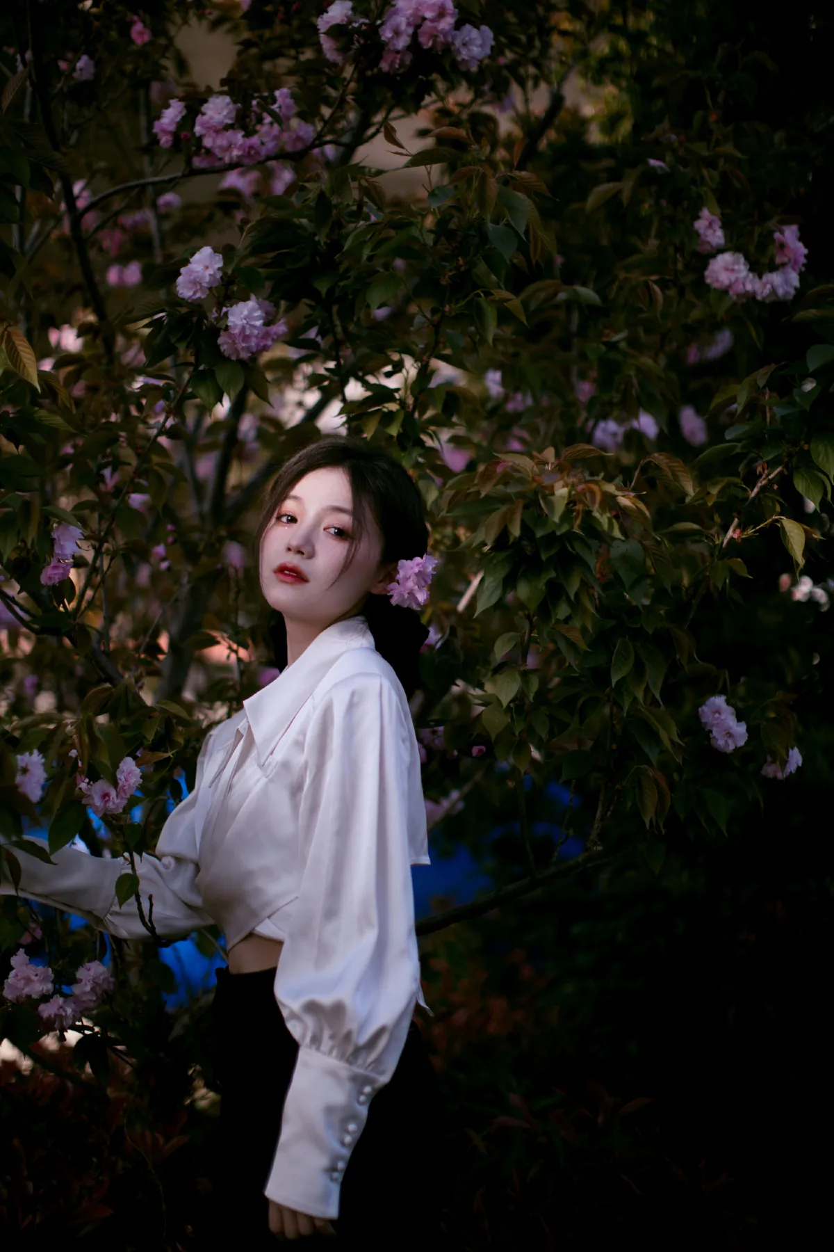 花宴