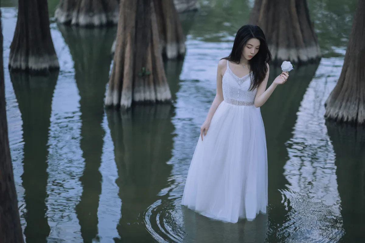 水生植物