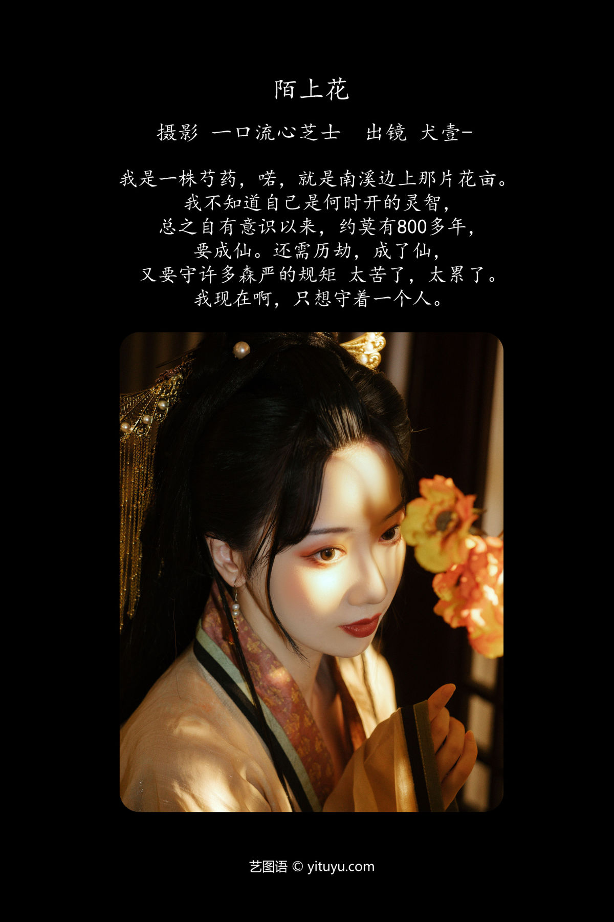 一口流心芝士_犬壹-《陌上花》美图作品图片2