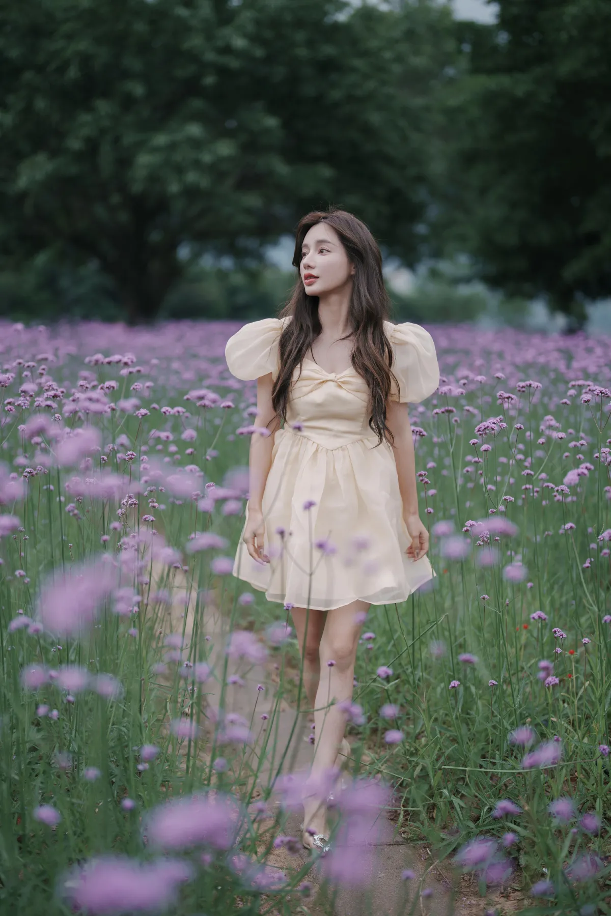 阴雨天，森林里的精灵1