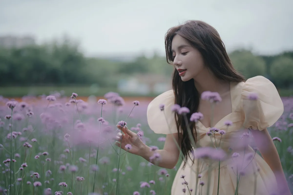 阴雨天，森林里的精灵