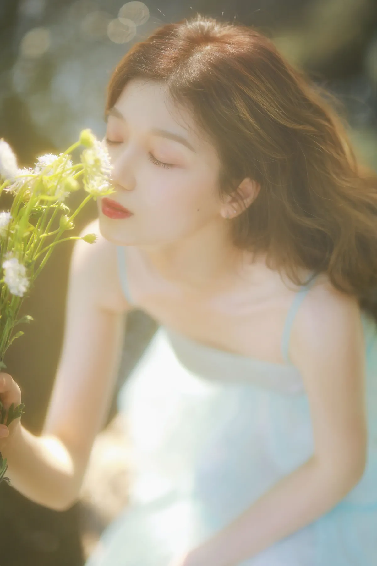 绿野仙踪2