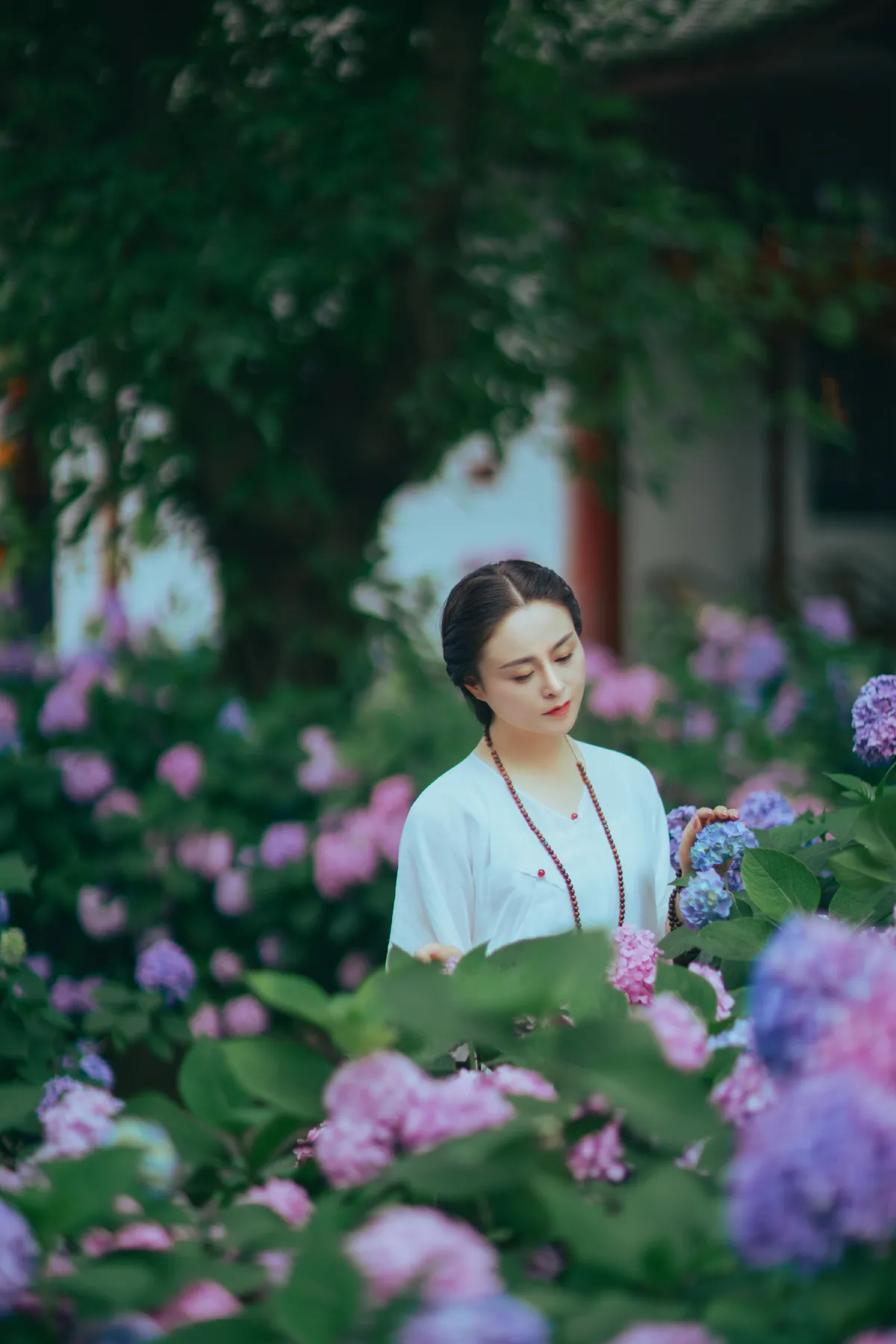 熏风入花林3