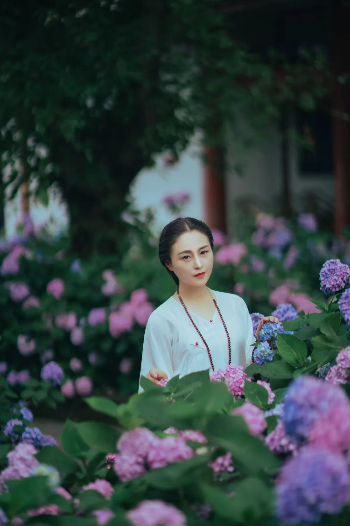 熏风入花林4