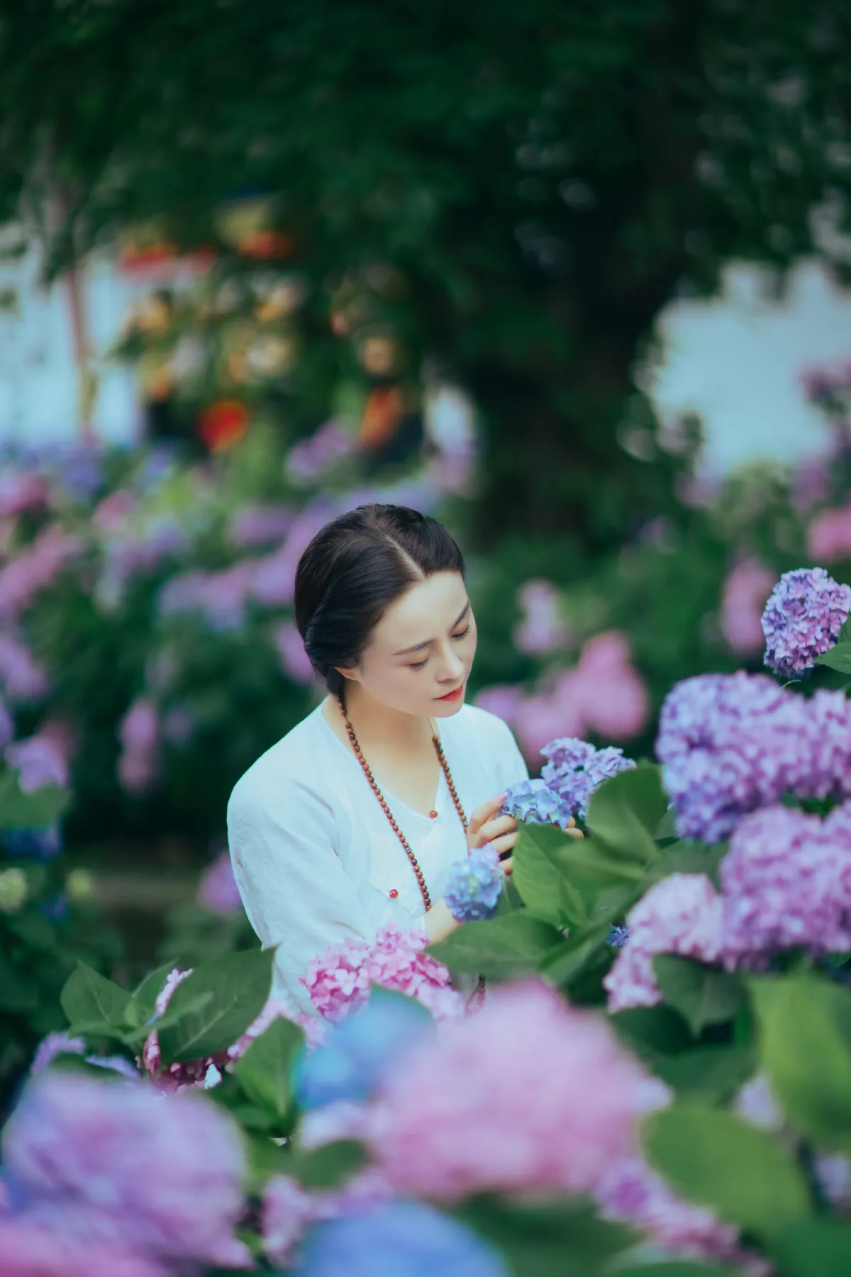熏风入花林5