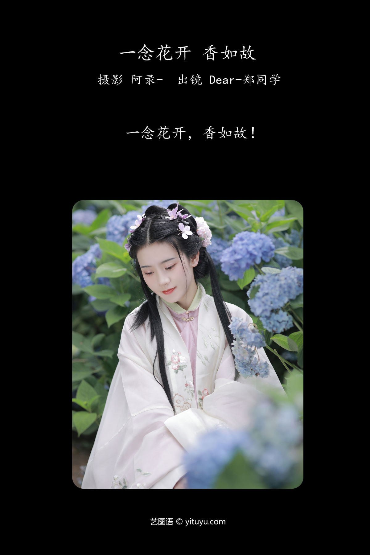 阿录-_Dear-郑同学《一念花开，香如故》美图作品图片2