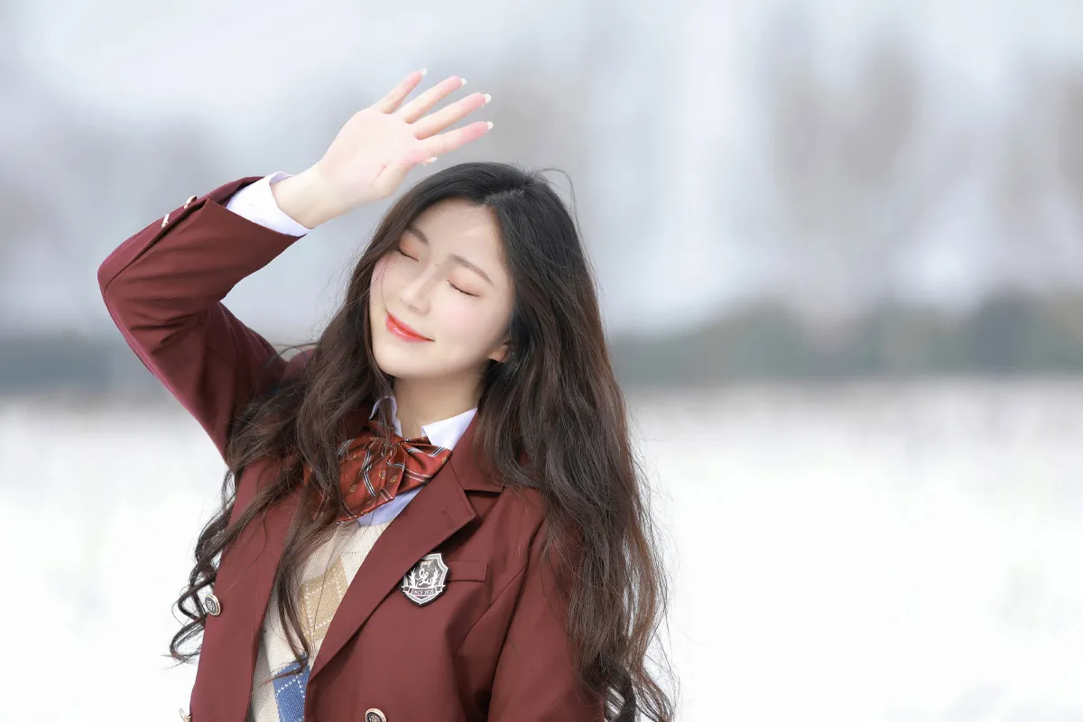 恰好飘来的雪