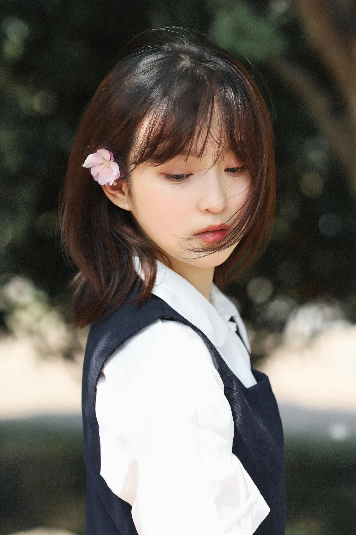 白樱 - 一起去赏花吧