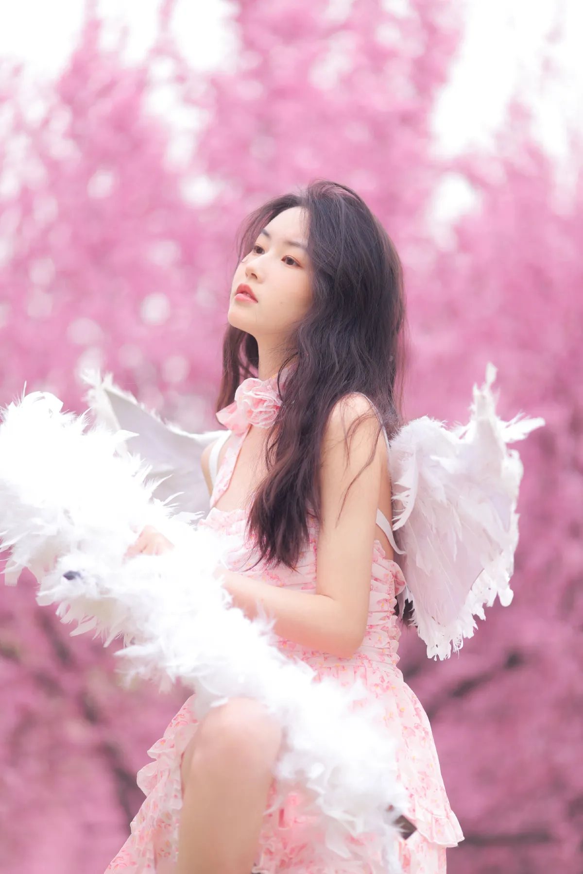 早樱天使