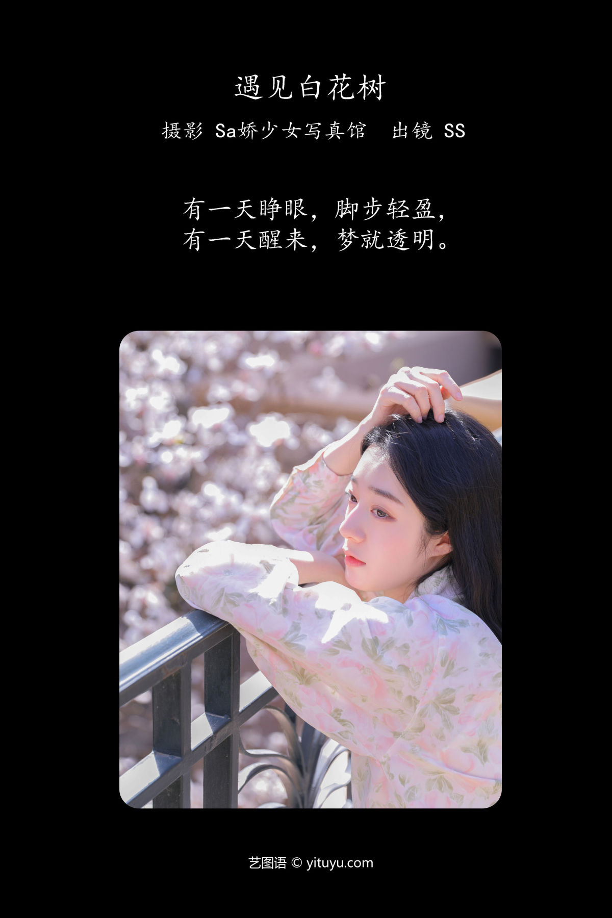 Sa娇少女写真馆_SS《遇见白花树》美图作品图片2