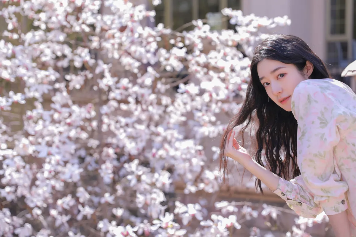 遇见白花树3