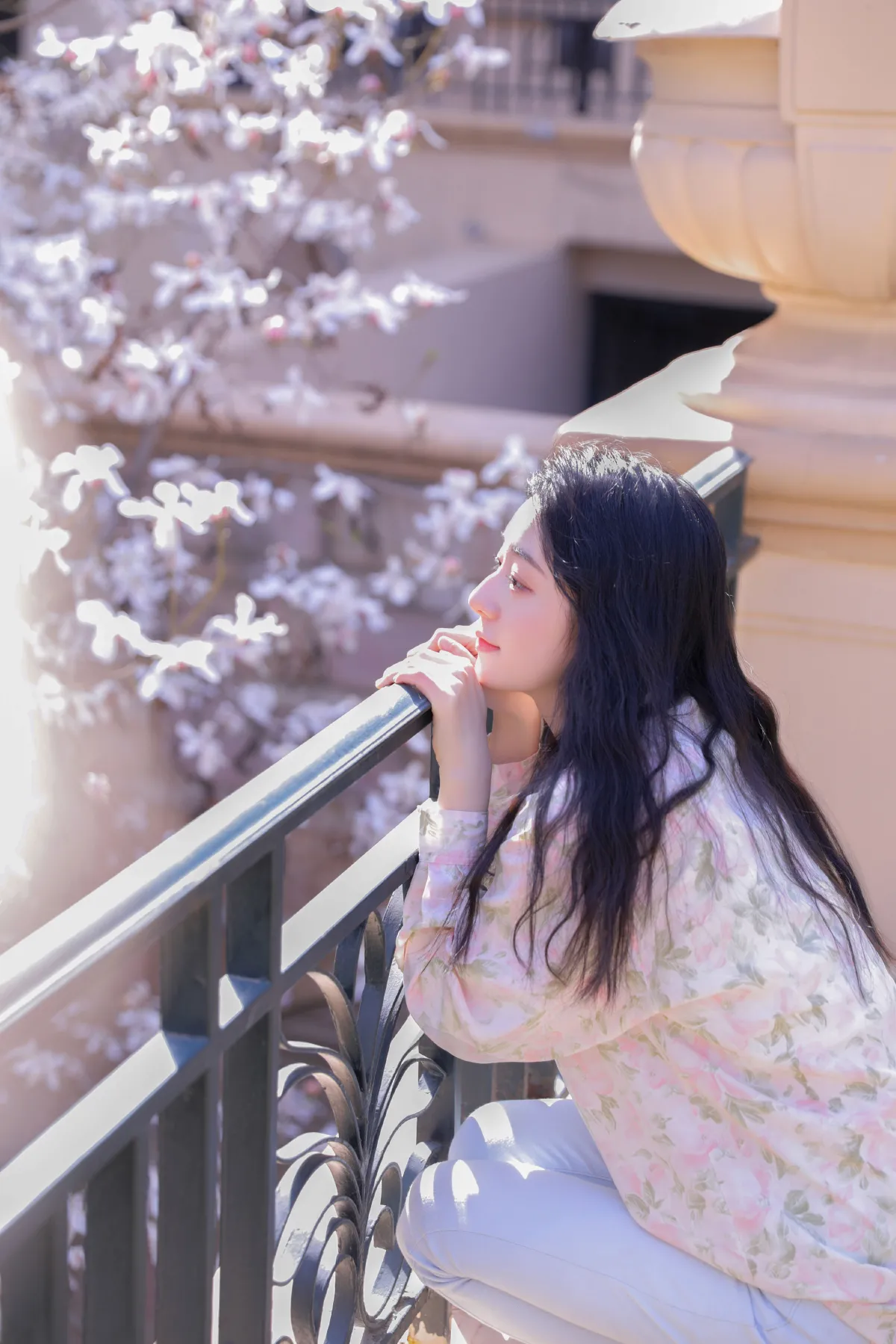 遇见白花树