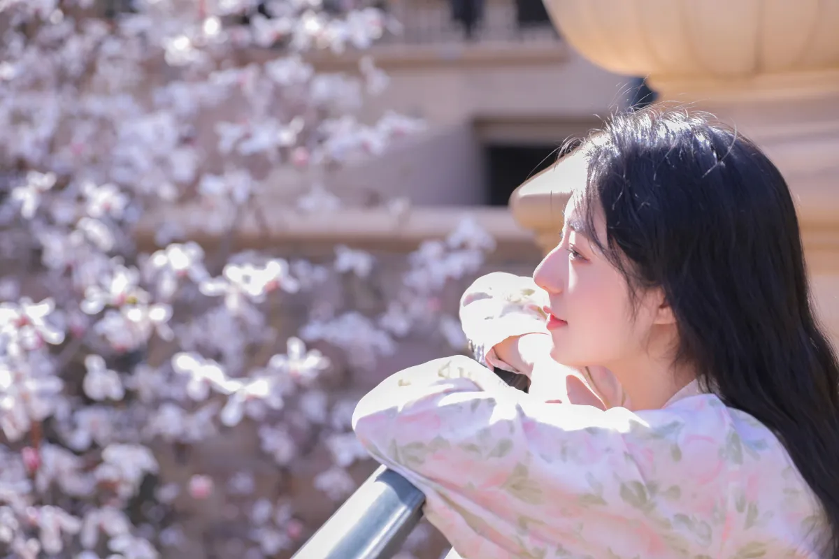 遇见白花树