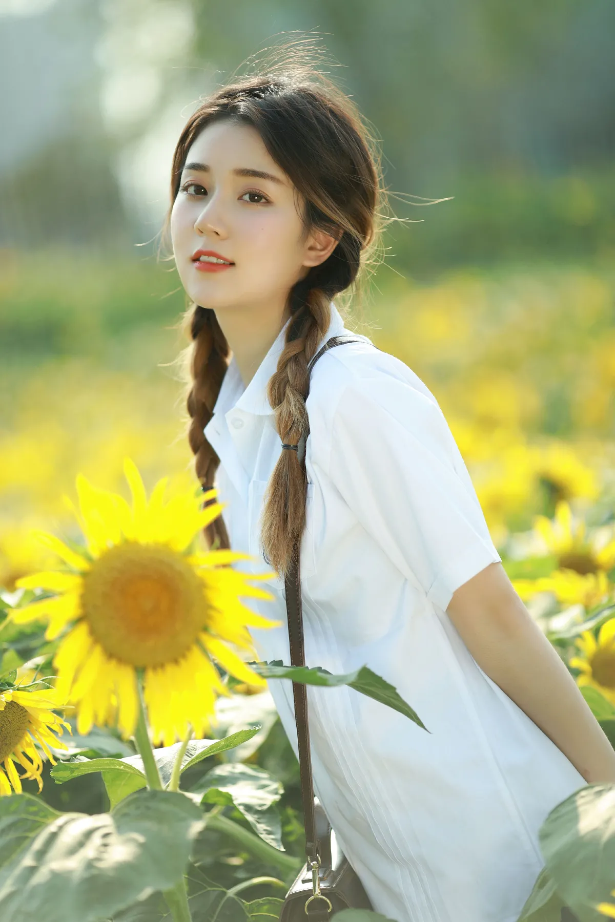 向日葵少女1
