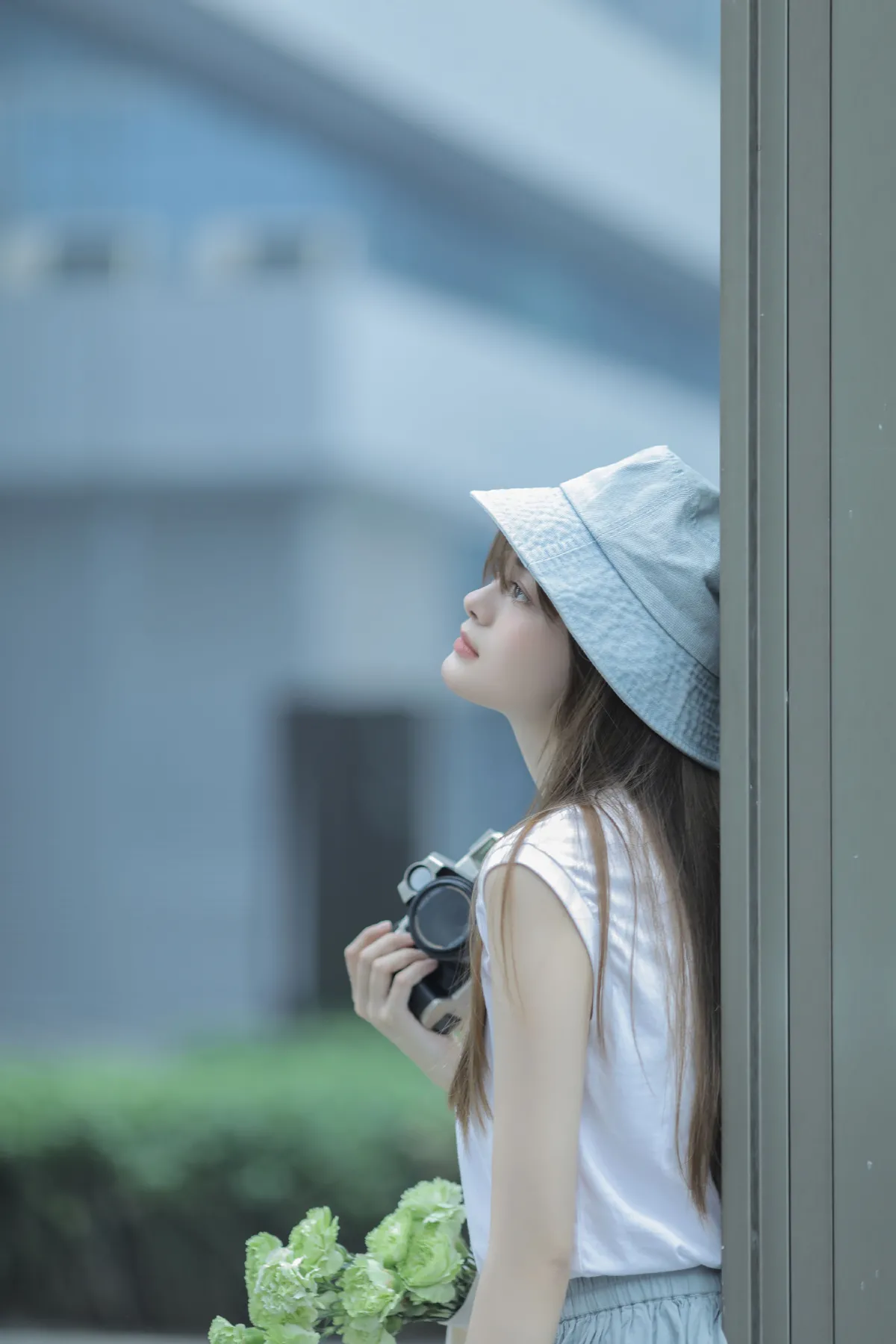 夏至已至