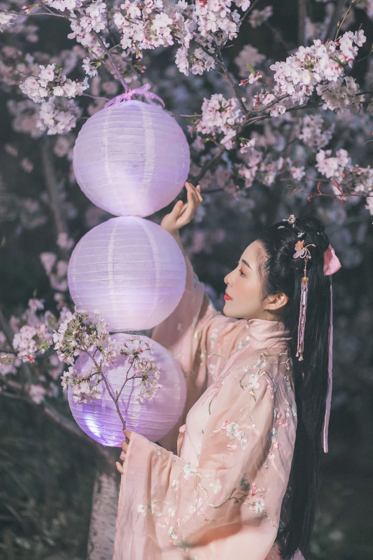夜樱