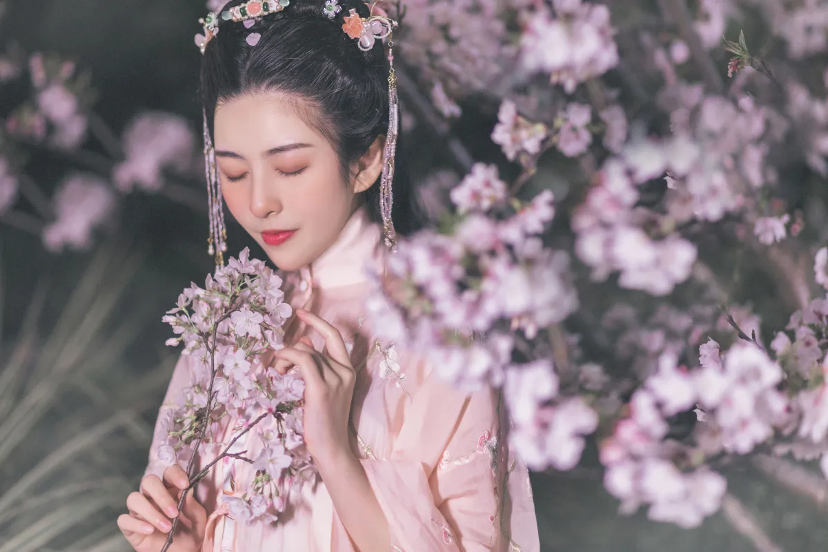 夜樱3