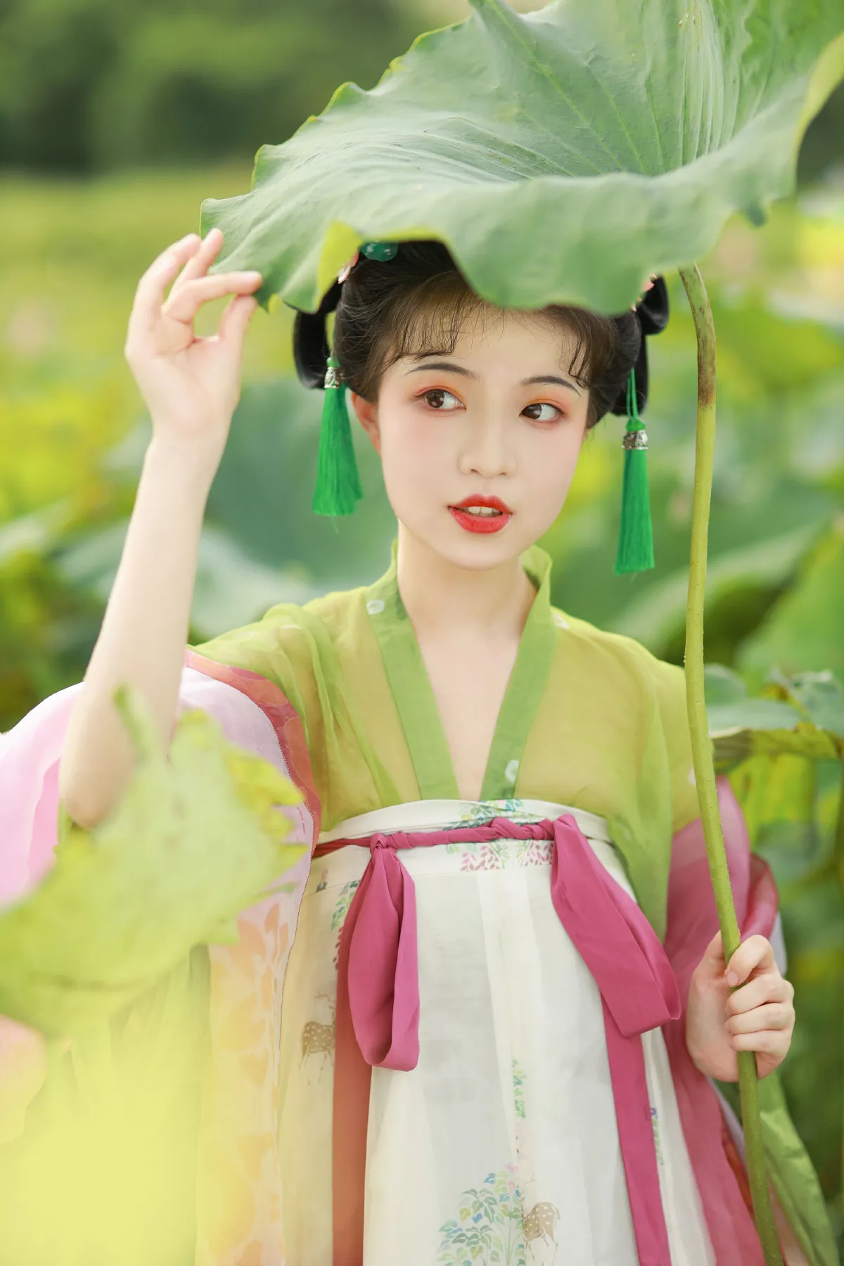 荷花少女1