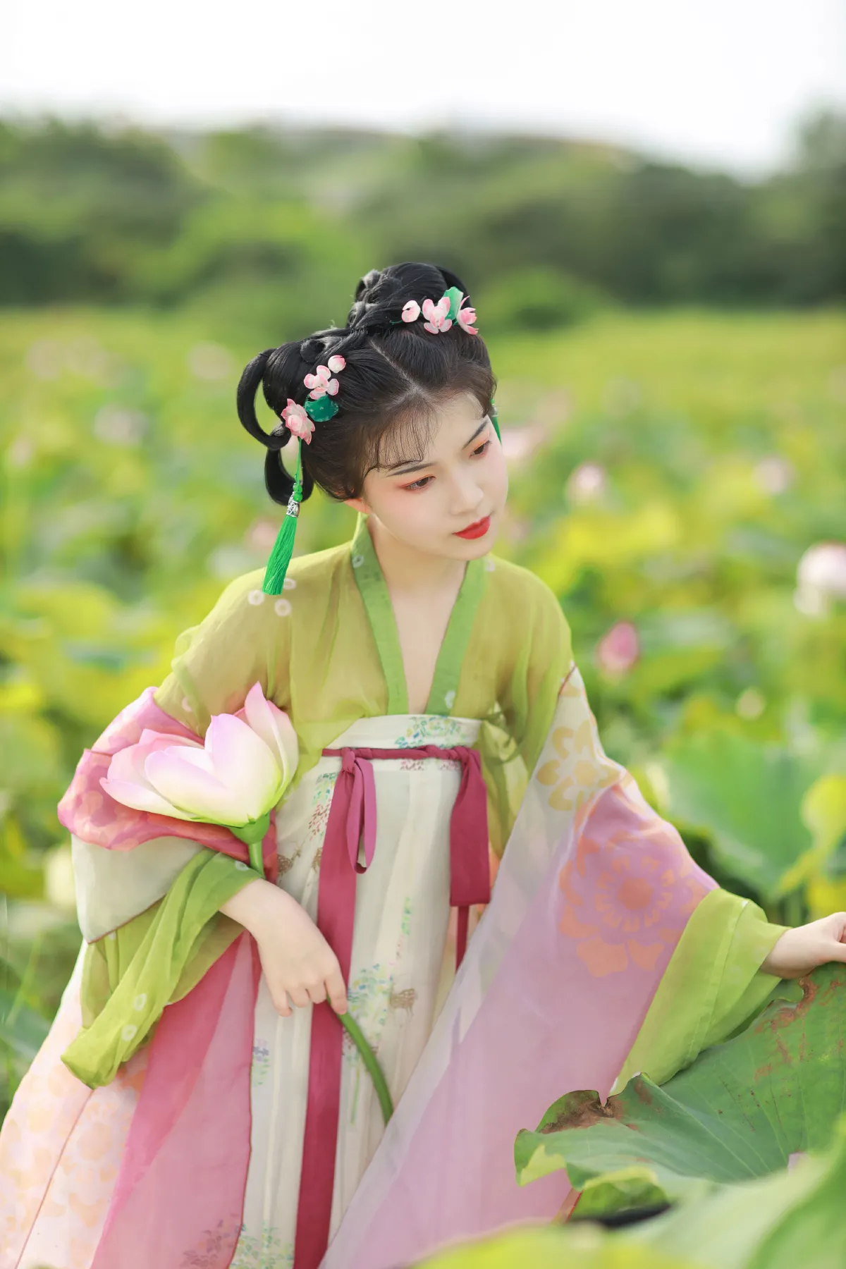 荷花少女