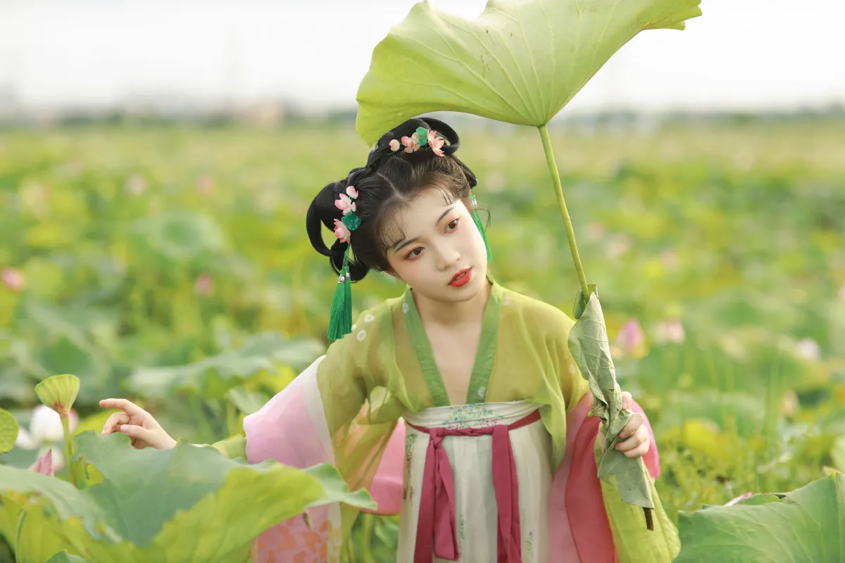 荷花少女