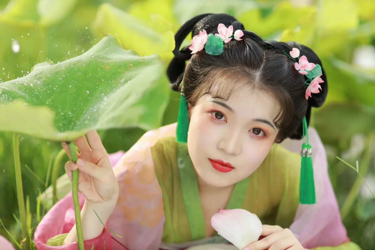 荷花少女