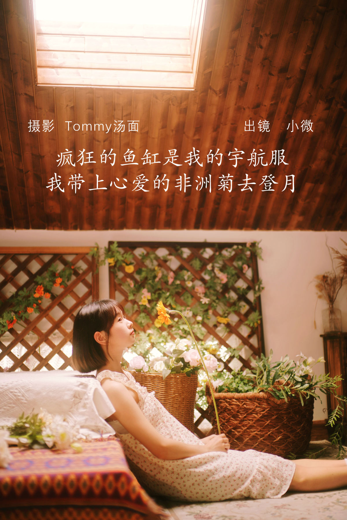 Tommy汤面_小微《疯狂的鱼缸是我的宇航服，我带上心爱的非洲菊去登月》美图作品图片1