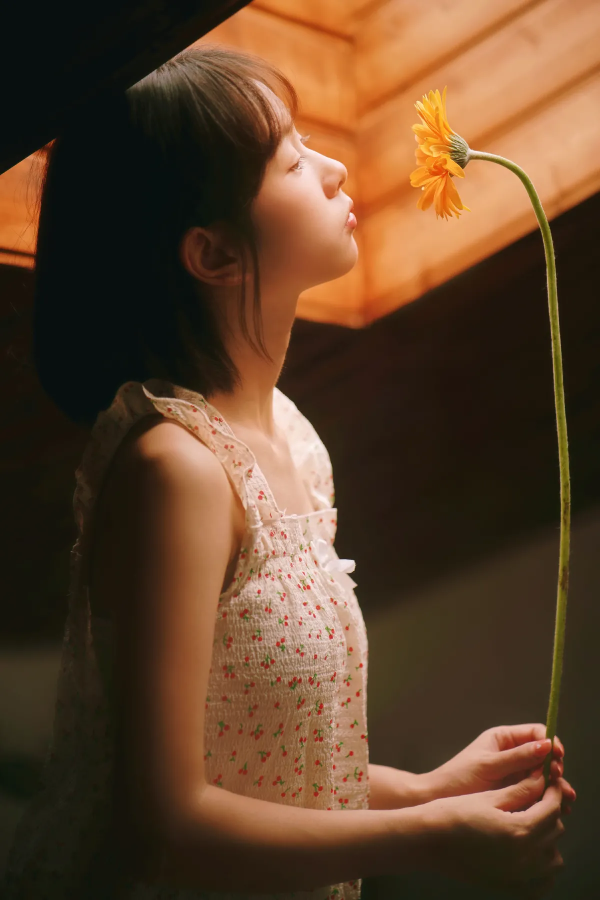 疯狂的鱼缸是我的宇航服，我带上心爱的非洲菊去登月3