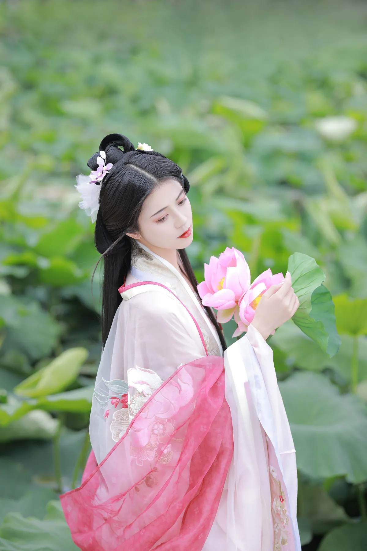 山有扶苏，隰有荷华3
