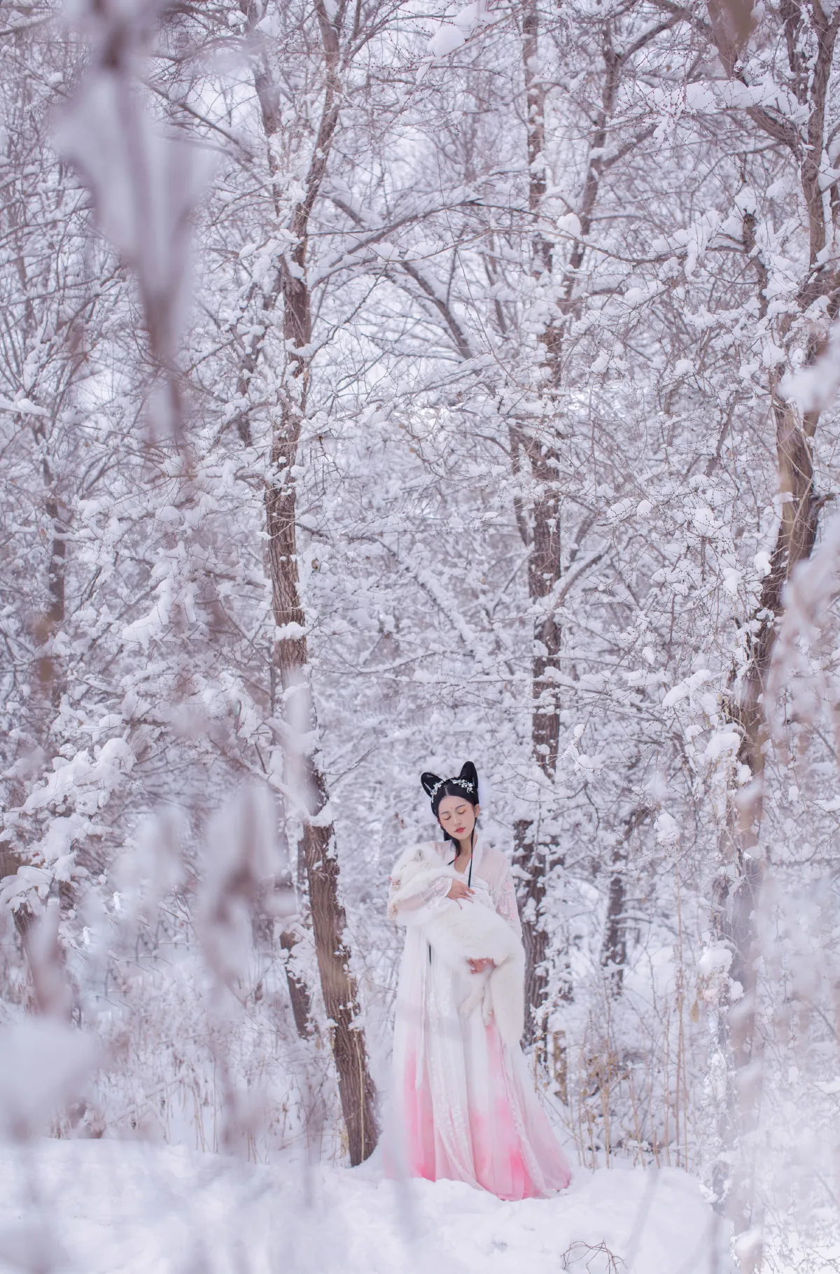 雪狐
