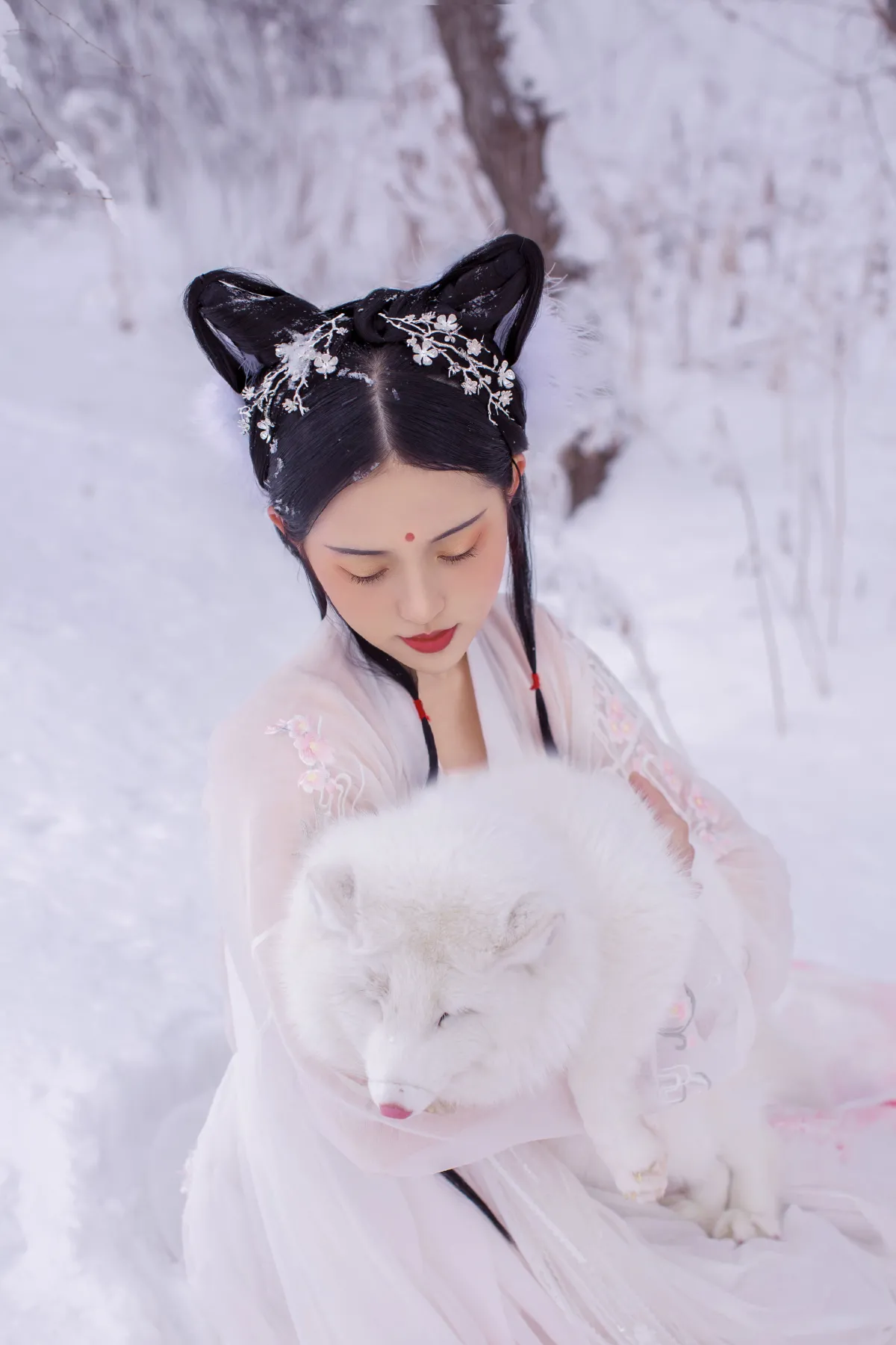 雪狐