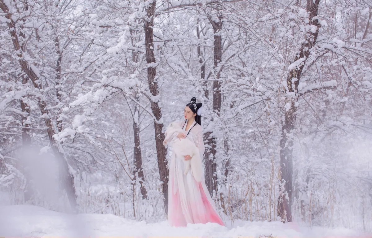 雪狐3