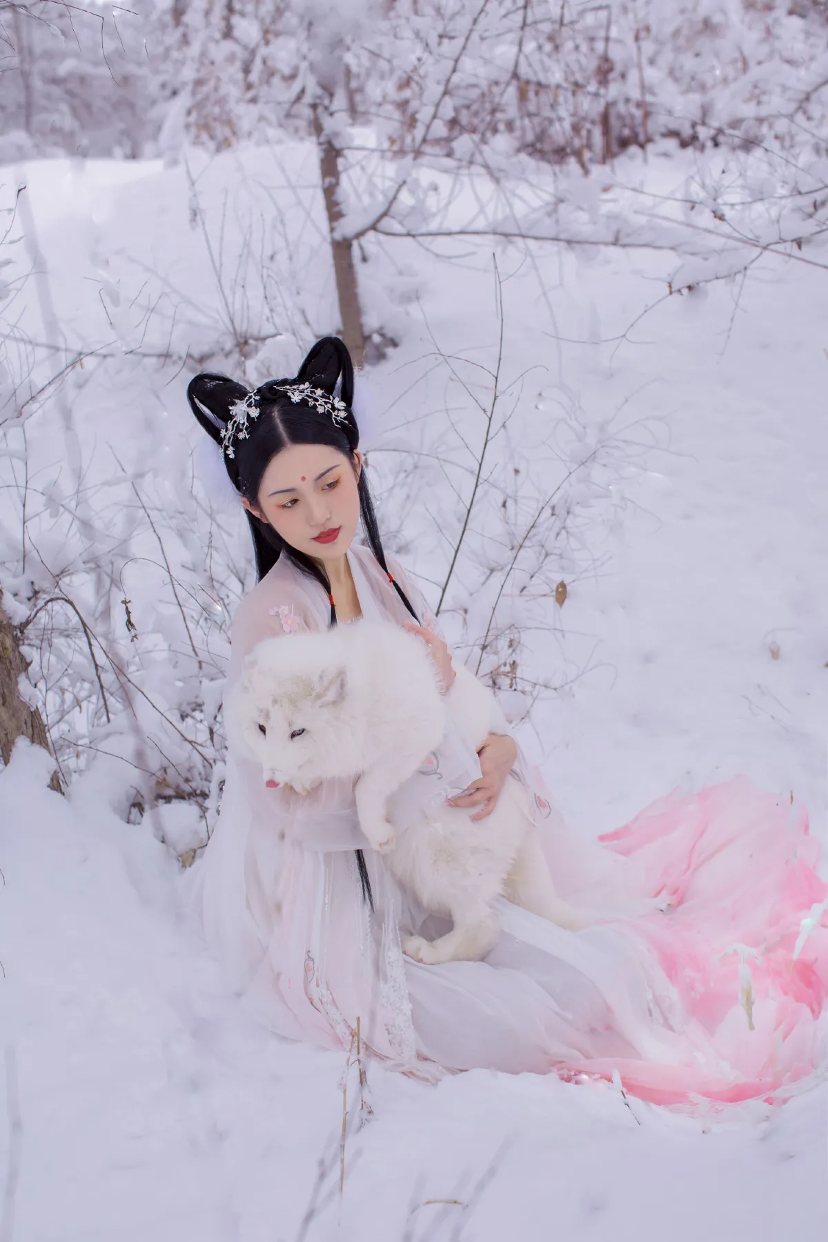 雪狐