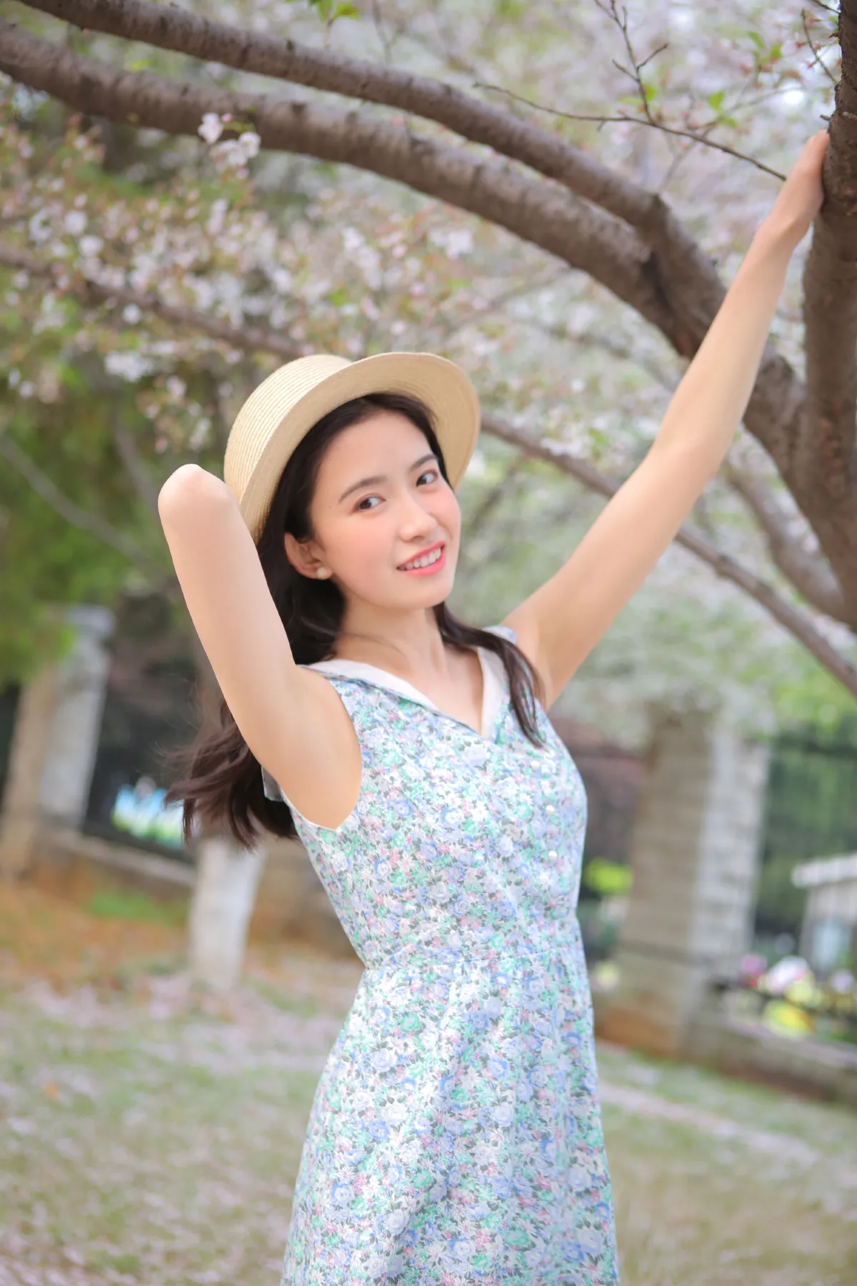 花倦2