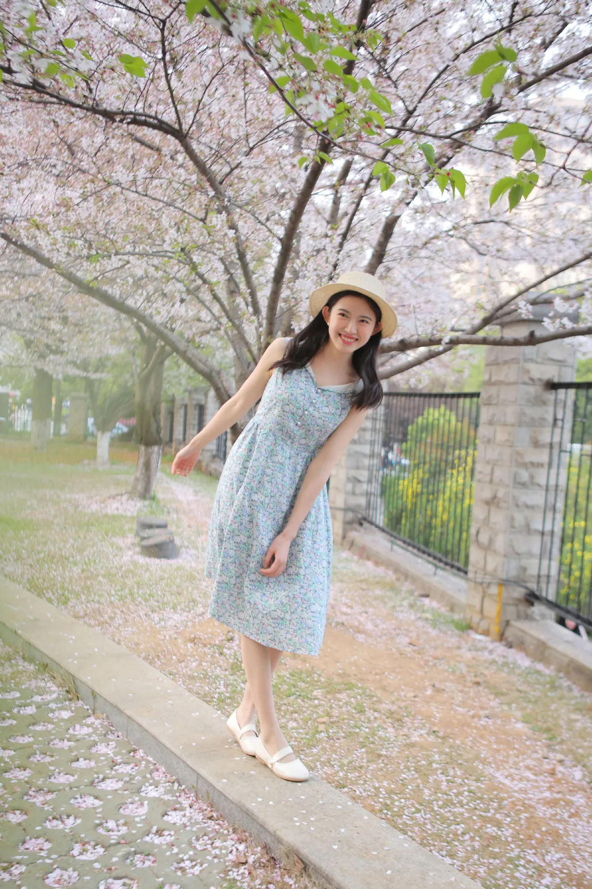 花倦