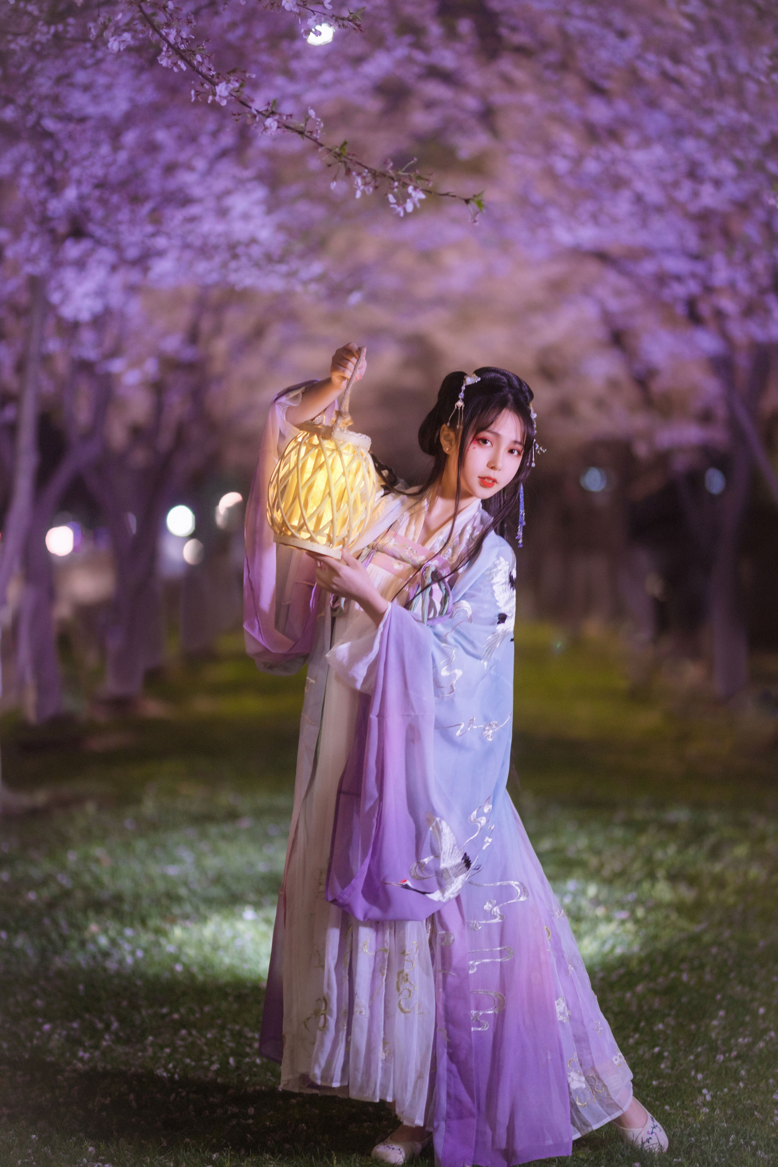 夜樱