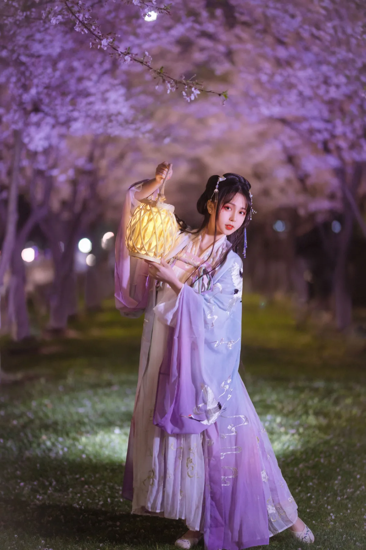夜樱1