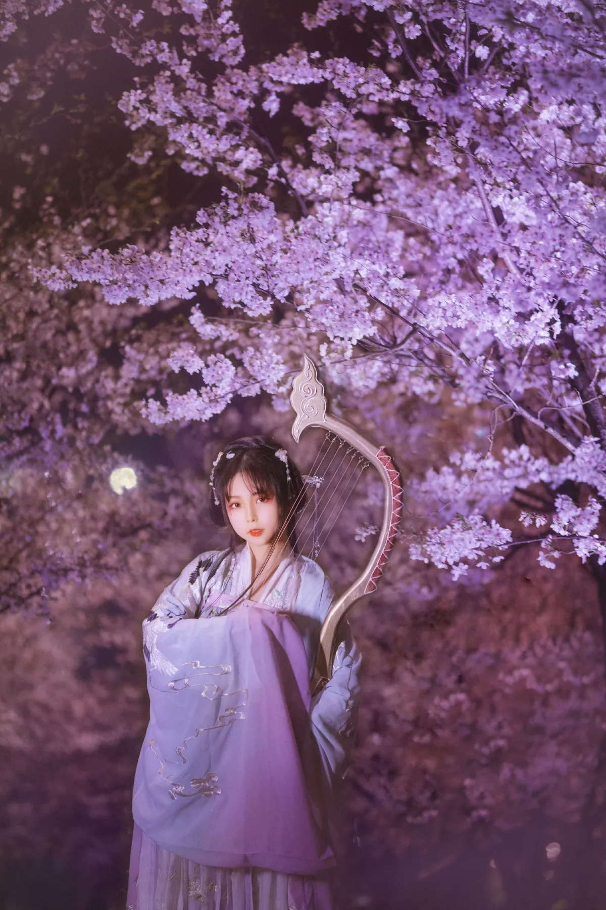 夜樱