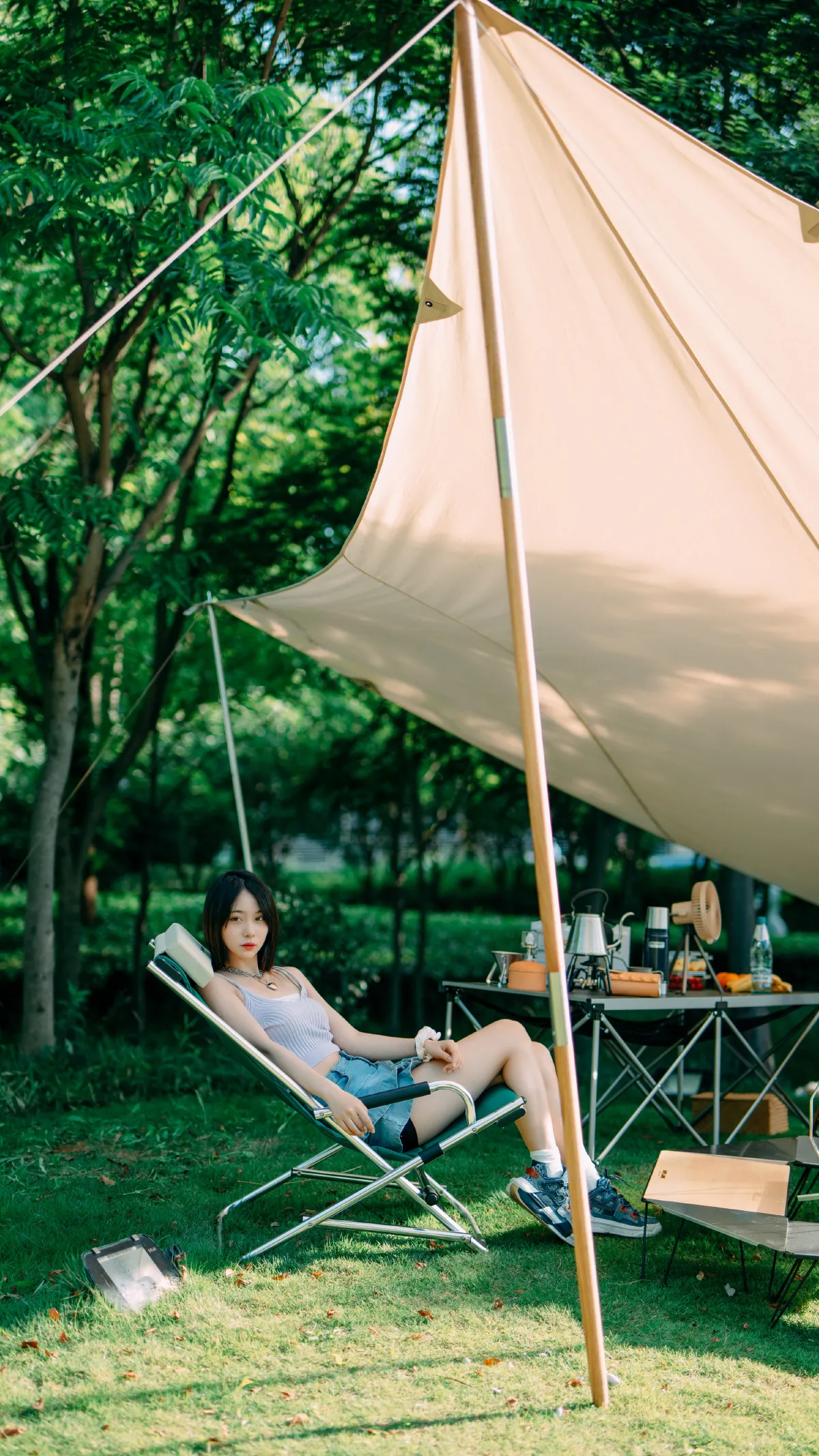 夏天的白加黑