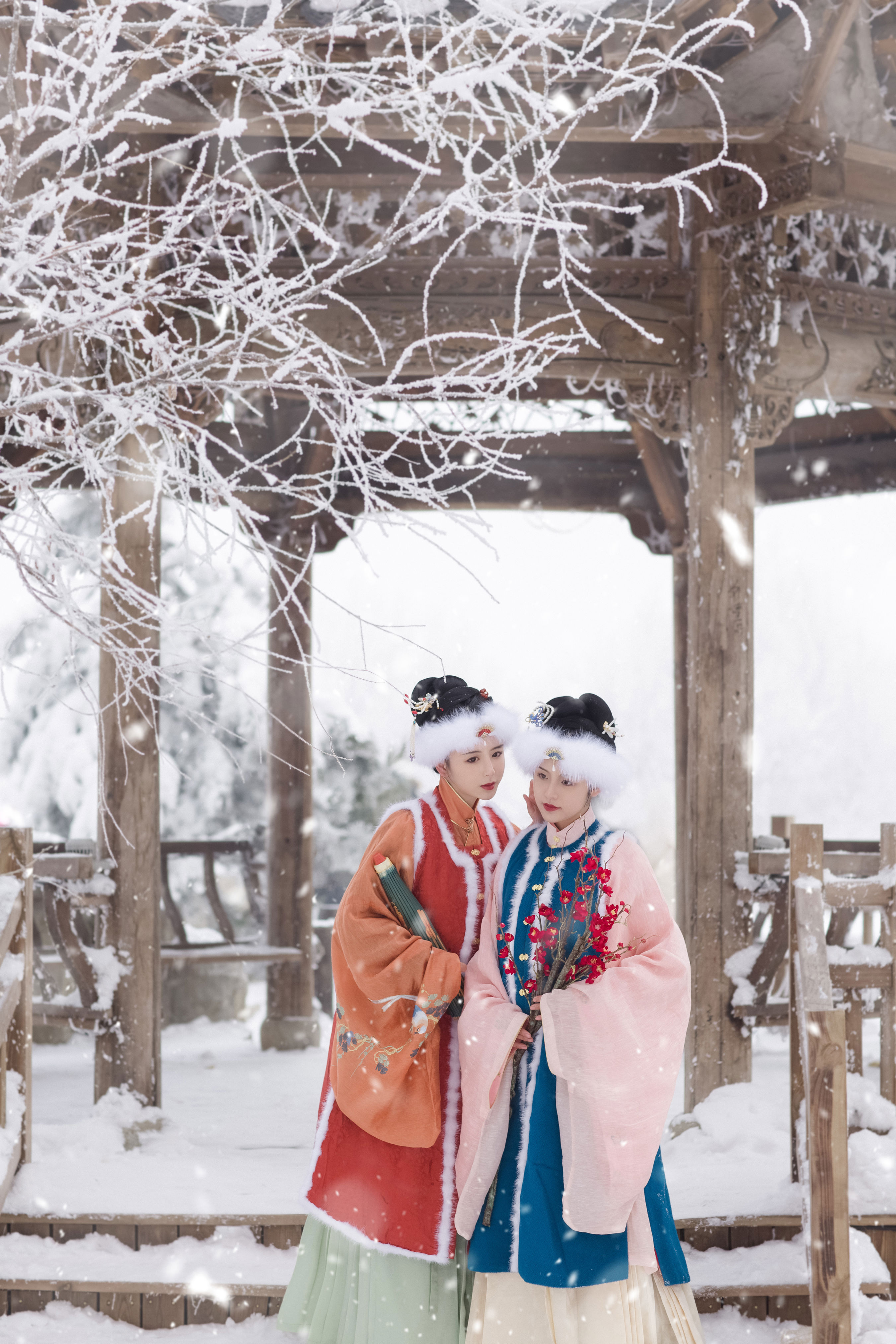 踏雪寻梅