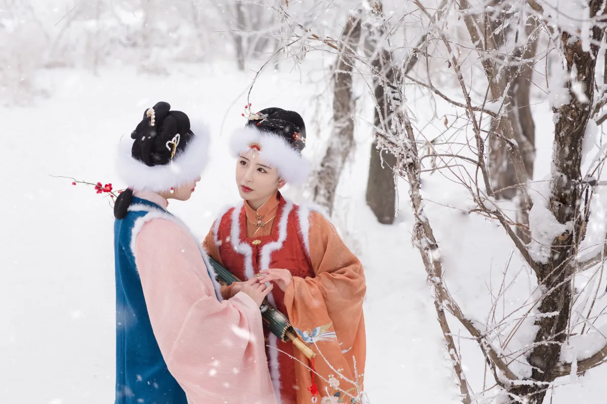 踏雪寻梅