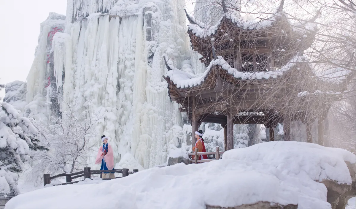 踏雪寻梅
