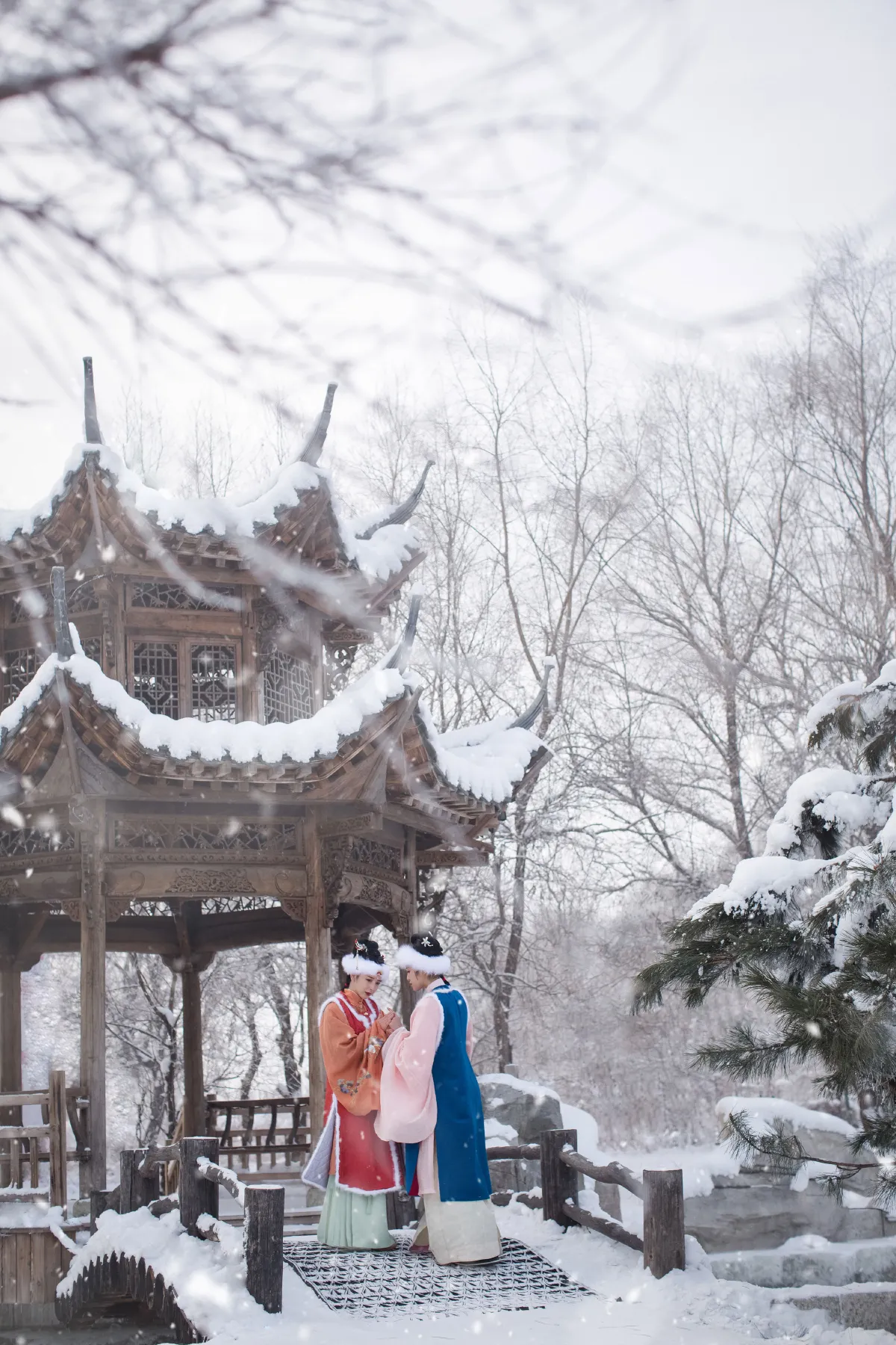 踏雪寻梅