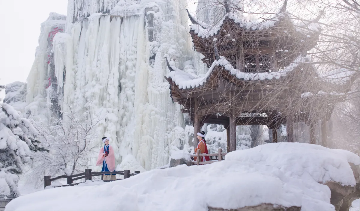 踏雪寻梅3