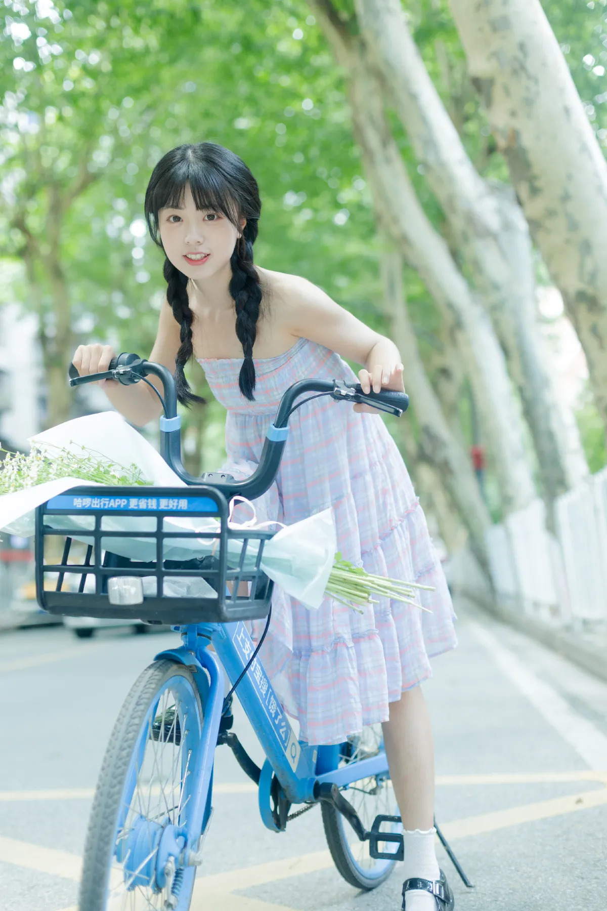 夏天是洋甘菊的气味1