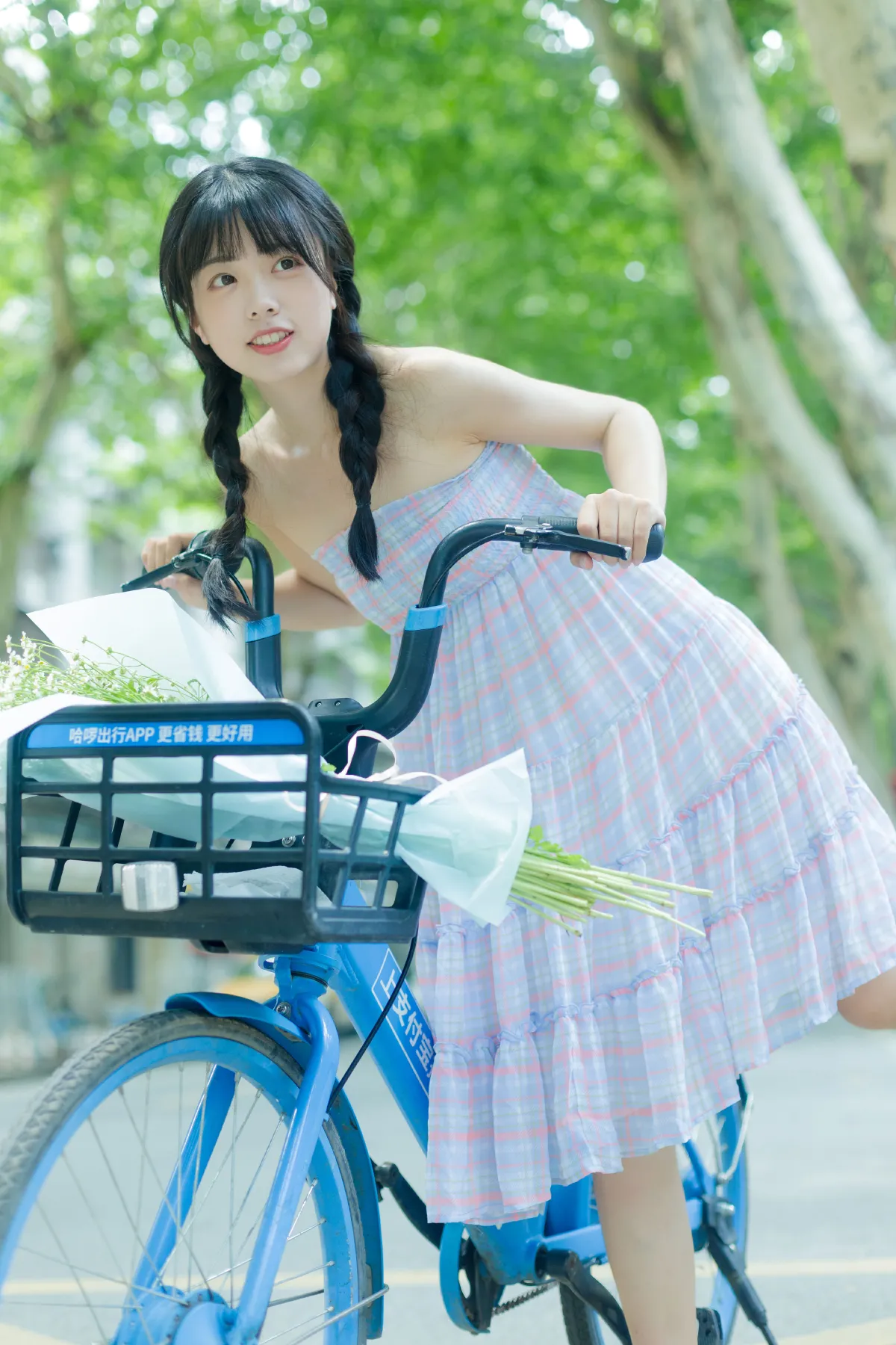 夏天是洋甘菊的气味2