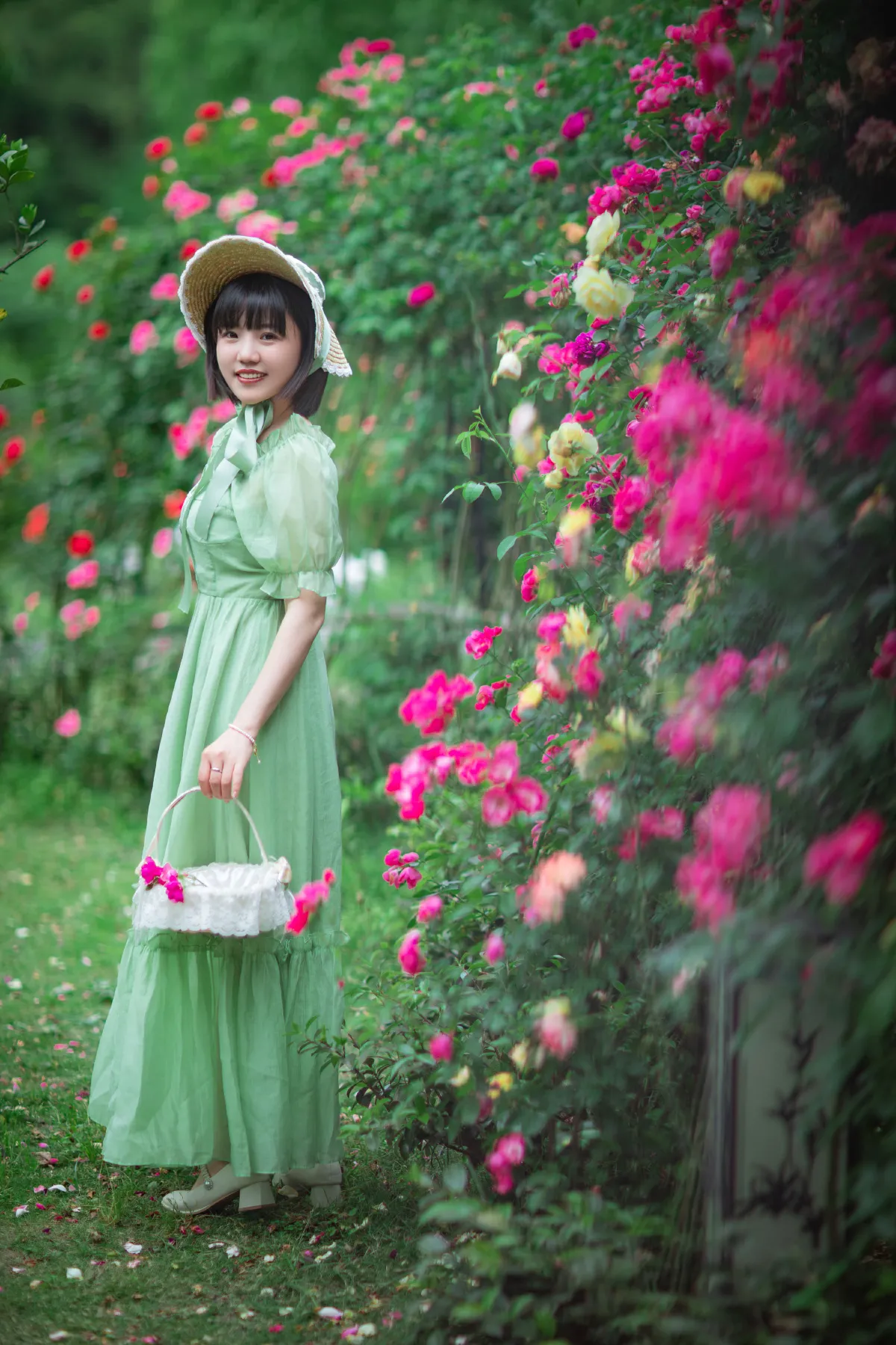 蔷薇花开