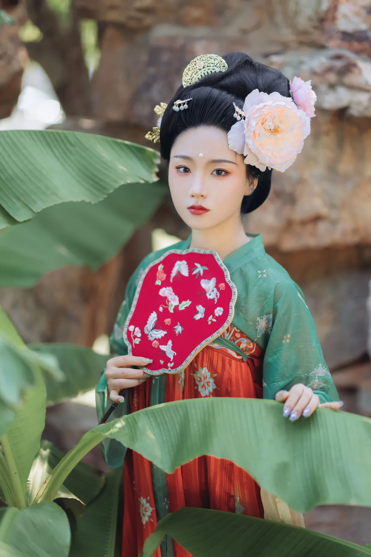 盼君归